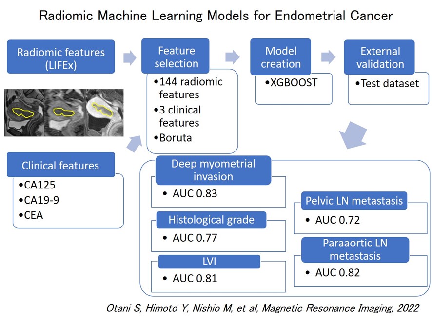 Radiomic Machine Learning Models for Endometrial Cancer